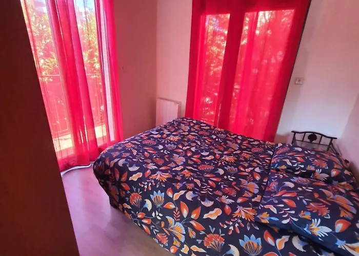 Le Voisin Toulousain 2